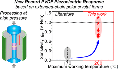 A Critical Temperature–Pressure Window for Attaining a Giant Piezoelectric Voltage Coefficient in Poly(vinylidene fluoride)