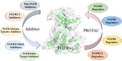Small-molecule FGFR-targeted medicinal chemistry: Advances since 2020 and future perspectives