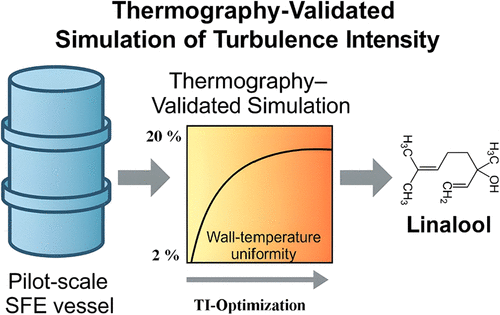 Multicriteria Optimization of Turbulence Intensity in Supercritical CO2 Extraction: Coupled Numerical Analysis and Experimental Validation