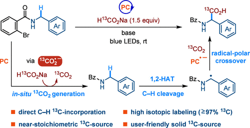 Visible Light-Driven Benzylic C(sp3)–H Carboxylation Enables Synthesis of 13C-Labeled (±)-α-Amino Acids with 13C-Formate