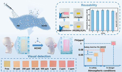 A Multifunctional Nanofiber Membrane Integrating PM Filtration with Rapid, Visual, and Selective Formaldehyde Sensing