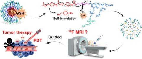 Self-immolative fluorinated nanotheranostics amplifying 19F MRI signals for tumor-specific imaging and photodynamic therapy