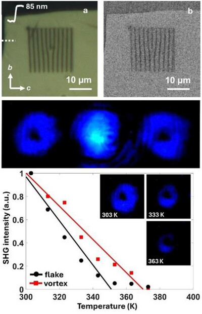 Anisotropic and Temperature-Tunable Second-Harmonic Vortex Generation in Ferroelectric NbOCl2 Holograms