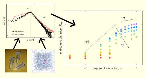 Ionization and Chain Size of Weak Polyelectrolytes in Semidilute Regime
