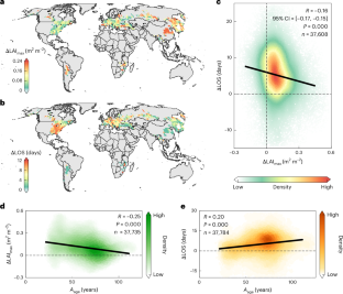 Contrasting age-dependent leaf acclimation strategies drive vegetation greening across deciduous broadleaf forests in mid- to high latitudes