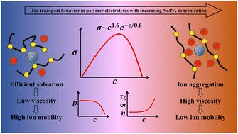 Ionic conductivity mechanisms in PEO–NaPF6 electrolytes