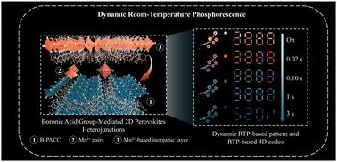 Dynamic room-temperature phosphorescence enabled by boronic acid group-mediated 2D perovskite heterojunctions for time-resolved multidimensional anti-counterfeiting and encryption