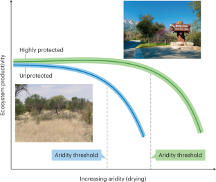 The dilemma of global dryland management