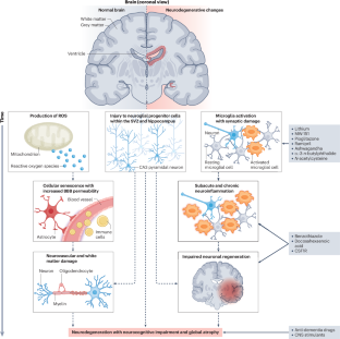 Mechanisms and treatment of cancer therapy-induced peripheral and central neurotoxicity