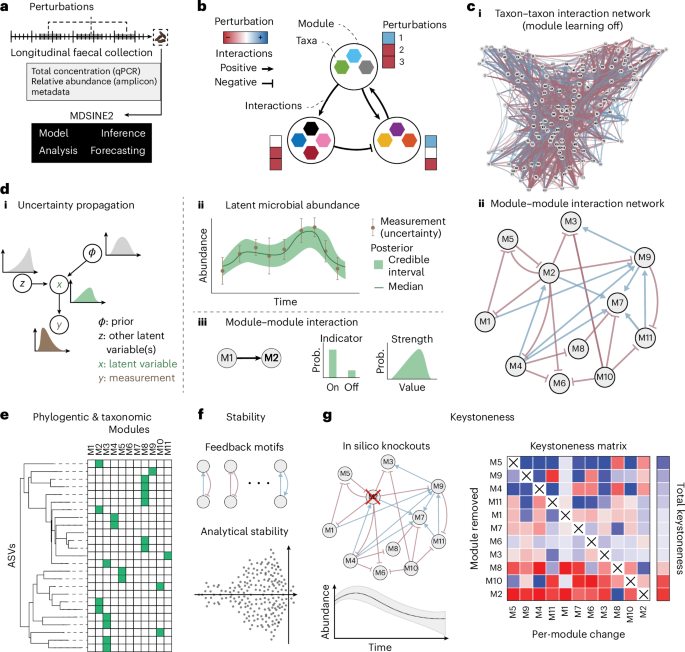 Learning ecosystem-scale dynamics from microbiome data with MDSINE2