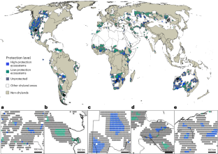 Highly protected areas buffer against aridity thresholds in global drylands