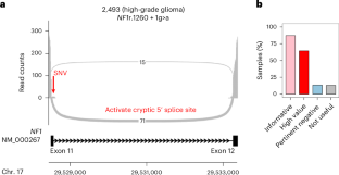 The power of RNA sequencing in molecular oncology