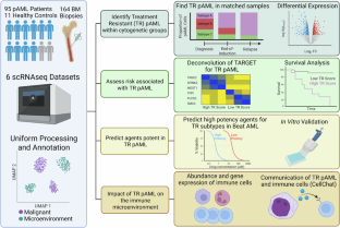 Longitudinal single-cell analysis reveals treatment-resistant stem and mast cells with potential treatments for pediatric AML