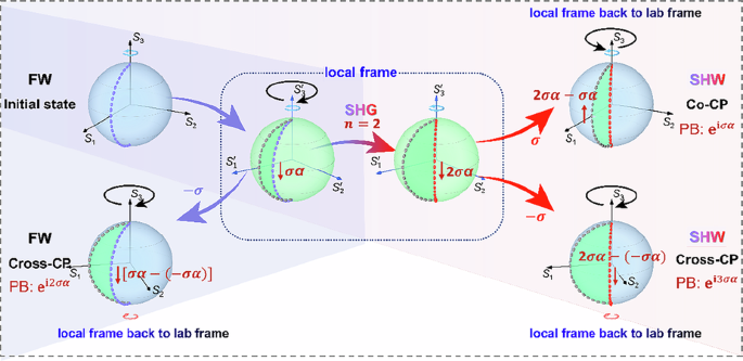Reconfigurable nonlinear Pancharatnam-Berry diffractive optics with photopatterned ferroelectric nematics