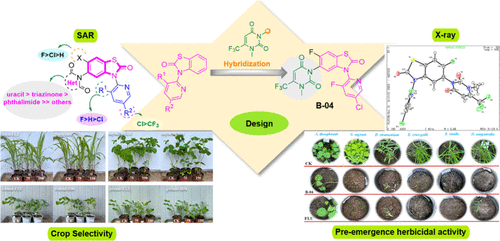 Design, Synthesis, and Herbicidal Activity of Pyridinyl-benzothiazolone Heterocyclic Derivatives