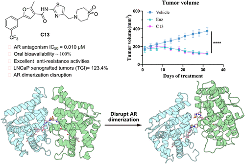 Discovery of N-(thiazol-2-yl) Furanamide Derivatives as Potent Orally Efficacious AR Antagonists with Low BBB Permeability