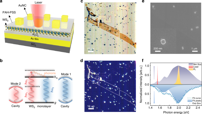 Giant two-photon upconversion from 2D exciton in doubly-resonant plasmonic nanocavity