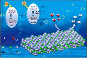 Cationic vacancy engineering of MnCdS for enhanced photocatalytic hydrogen evolution reaction rates
