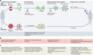 Nanotechnology for CAR T cells and tumour-infiltrating lymphocyte therapies