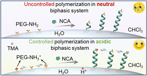 Facile and Controlled Synthesis of Poly(ethylene glycol)-Polypeptide in an Acidic, Biphasic System