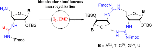 A Bimolecular Simultaneous Macrocyclization Strategy to Synthesize Cyclic Dinucleotide Analogues with Internucleoside Guanidinium Linkages