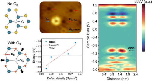 Microscopic Investigations of Point Defect Interactions in WS2 Monolayers