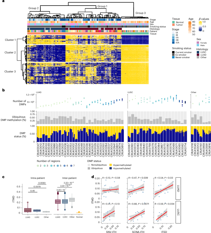 DNA methylation cooperates with genomic alterations during non-small cell lung cancer evolution