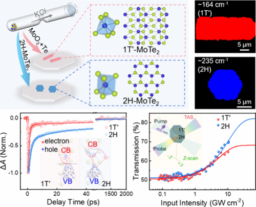 Unveiling Distinct Ultrafast Photocarrier Dynamics and Tailored Nonlinear Optical Absorption in Phase-Engineered Two-Dimensional MoTe2