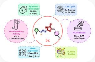 Targeting EGFR with thiazolidin-4-ones: Structure-guided design, synthesis, and in silico profiling for anticancer drug discovery