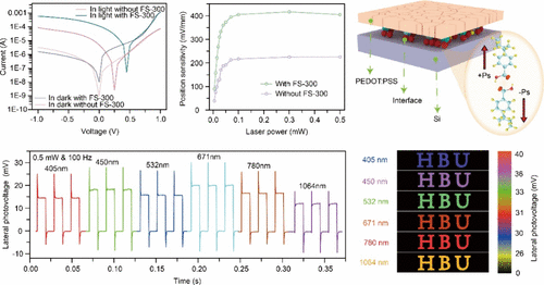 Doping and Polar Interface-Induced High-Position Sensing in the PEDOT:PSS/Si Heterojunction and Its Multifunctional Optical Imaging