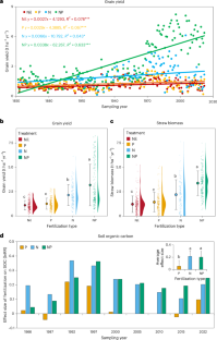 Soil carbon sequestration enhanced by long-term nitrogen and phosphorus fertilization