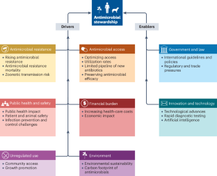 Antimicrobial stewardship from a One Health perspective