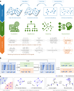 Sampling-enabled scalable manifold learning unveils the discriminative cluster structure of high-dimensional data