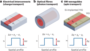 Towards spin-wave integrated circuits