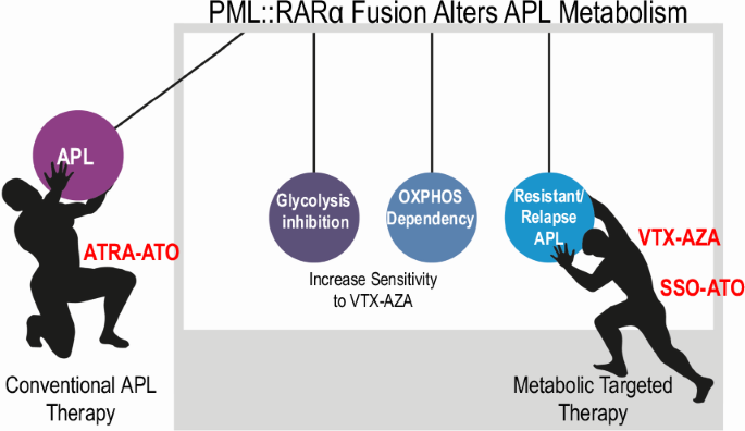PML::RARα+ myeloid cells display metabolic alterations that can be targeted to treat resistant/relapse acute promyelocytic leukemias