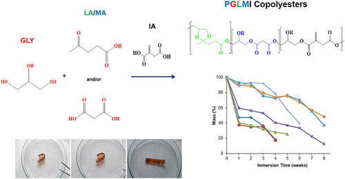 Development of Biodegradable and Biobased Poly(glycerol levulinate-co-glycerol malonate) Copolyesters with Controlled Degradation