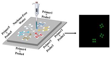 A directional self-priming continuous-driven compartmentalized microfluidic chip for multiplexed pathogen detection