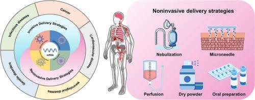 Mucosal and transdermal delivery strategies for mRNA: Transforming the clinical applications