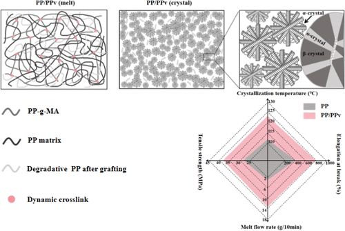 Upcycling Waste Polypropylene into Multifunctional Homogeneous Additives for Simultaneously Enhanced Mechanical Performance and Processability