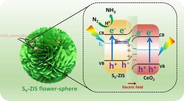 CeO2 nanocubes-embedded sulfur-deficient ZnIn2S4 flower-sphere S-scheme systems for sustainable ammonia production in pure water