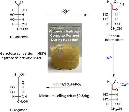 Sustainable Production of Low-Calorie Tagatose via CaO-Promoted Galactose Isomerization with CO2 Neutralization under Ambient Conditions