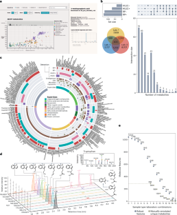 Harmonizing human plasma metabolite annotation with Plasma Benchmark