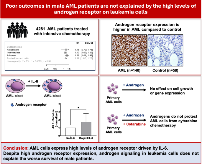 Acute myeloid leukaemia cells express high levels of androgen receptor but do not depend on androgen signaling for survival
