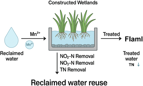 Automated Machine Learning-Based Models for Predicting Effluent Total Nitrogen Concentration of Reclaimed Water in Constructed Wetlands and Precise Regulation of Manganese Ion Dosing Methods