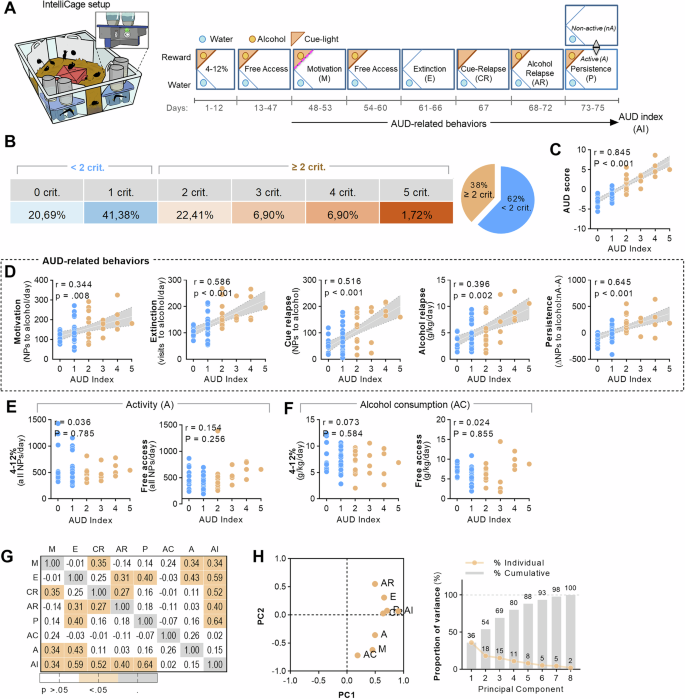 Hippocampal Cofilin and CFL1 gene variants are linked to Alcohol Use Disorder phenotypes