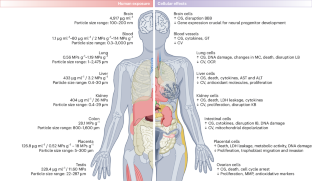 Health impacts of microplastic and nanoplastic exposure