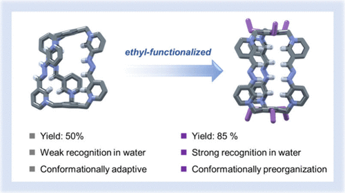 Conformationally Preorganized Cage Enables Enhanced Anion Binding in Water