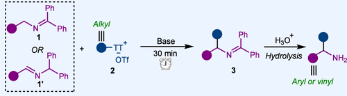 Umpolung Approach for the α-Alkylation of Benzylic Amines Enabled by Superelectron Donors