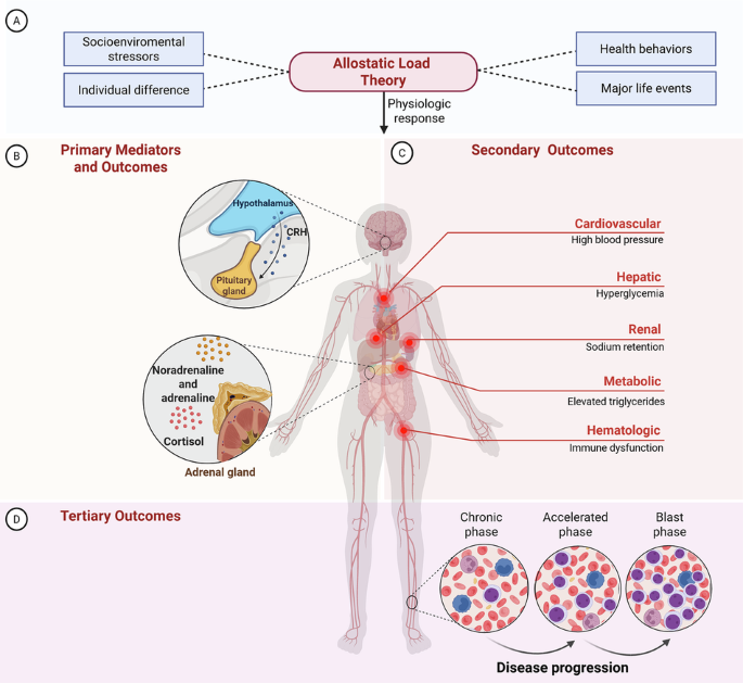 Estimating the burden of chronic stress through allostatic load in patients with chronic myeloid leukemia