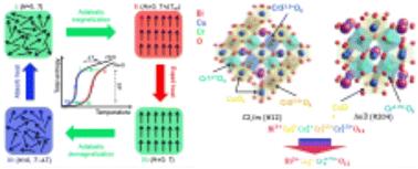 Insights into the giant magnetocaloric effect in BiCu3Cr4O12 with charge–spin–lattice coupling